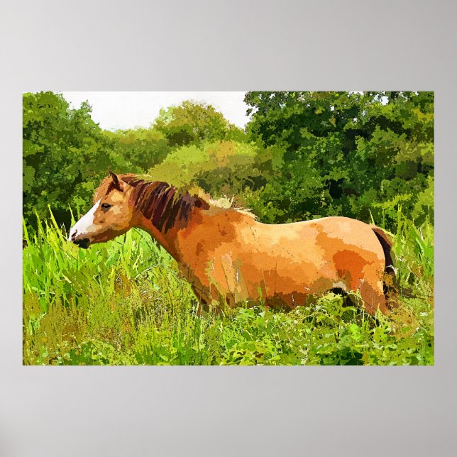 WELSH PONY POSTER (Front)