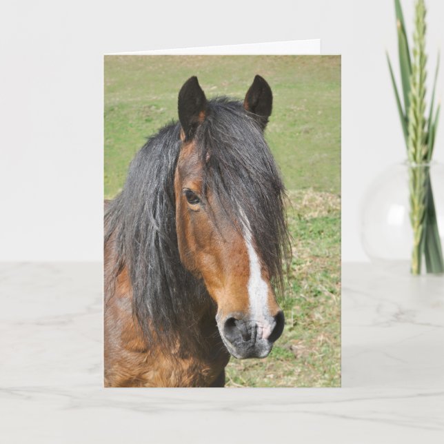 Welsh Section D birthday Card (Front)