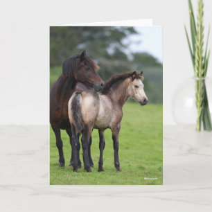 Welsh Section D Mare and Foal Standing Card