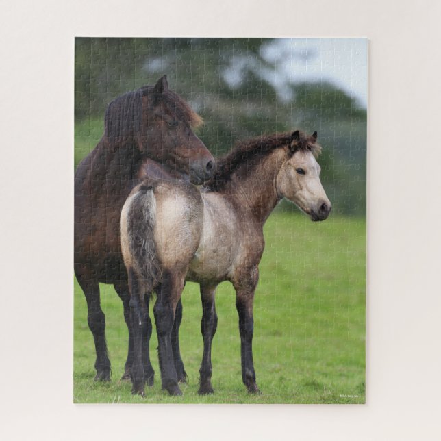 Welsh Section D Mare and Foal Standing Jigsaw Puzzle (Vertical)