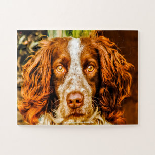 Welsh Springer Our Family Pet Jigsaw Puzzle