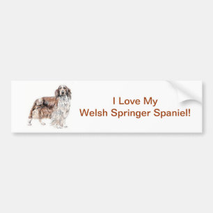 Welsh Springer Spaniel Bumper Sticker