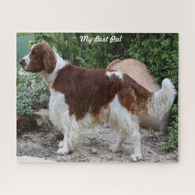 Welsh Springer Spaniel Dog Jigsaws. Jigsaw Puzzle (Horizontal)