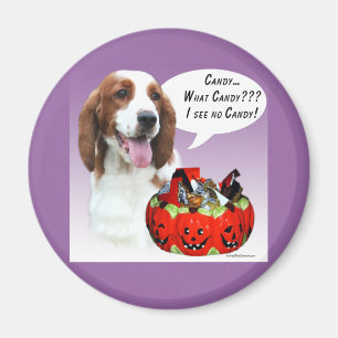 Welsh Springer Spaniel Halloween Candy Magnet