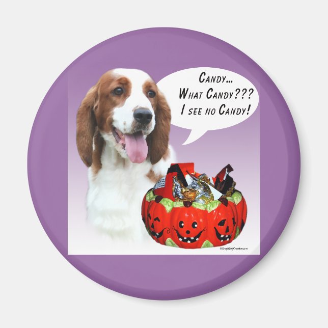 Welsh Springer Spaniel Halloween Candy Magnet (Front)