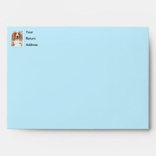 Welsh Springer Spaniel Painting - Original Dog Art Envelope