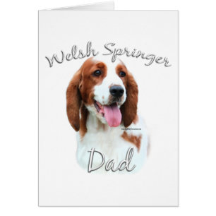Welsh Springer Spaniel Papa 2