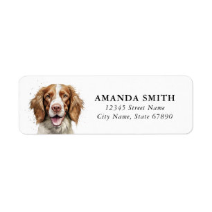 Welsh Springer Spaniel Retourner l'adresse Étiquet