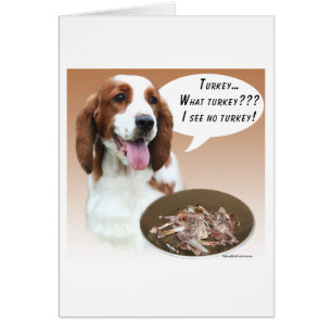 Welsh Springer Spaniel Turkey