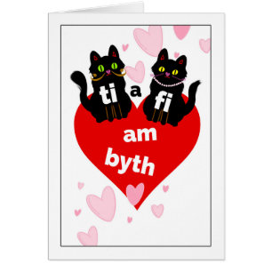 Welsh St. Dwynwen's Day Ti a Fi am Byth