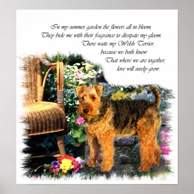 Welsh Terrier Art Print (Front)
