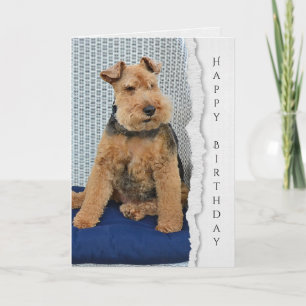 Welsh Terrier birthday card