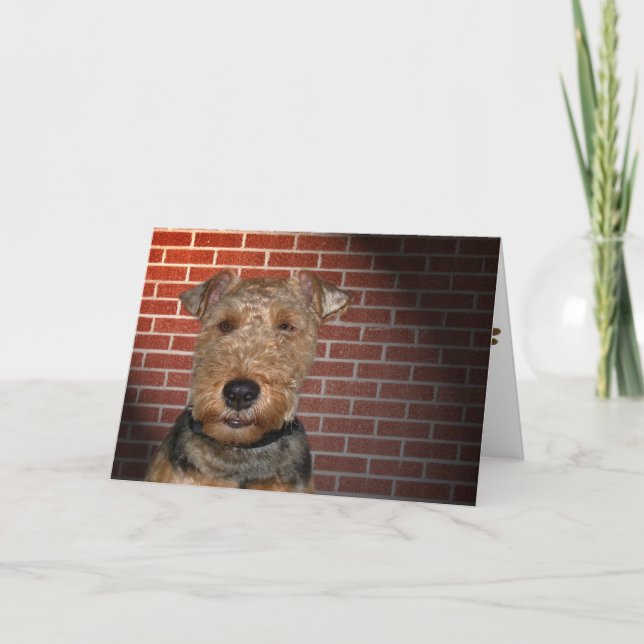 Welsh Terrier Card (Front)