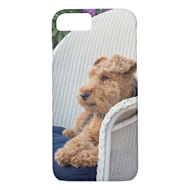 Welsh Terrier Case-Mate iPhone Case (Back)