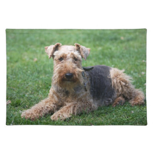 Welsh Terrier dog beautiful cute photo placemat