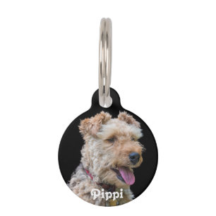Welsh Terrier Dog Tag