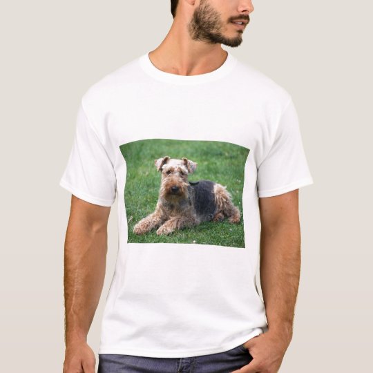 Welsh terrier dog unisex t-shirt, gift idea T-Shirt