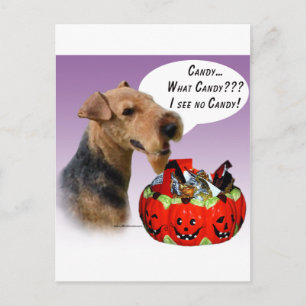 Welsh Terrier Halloween Candy Postcard