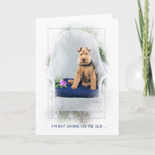 Welsh Terrier in chair getting old Card (Front)