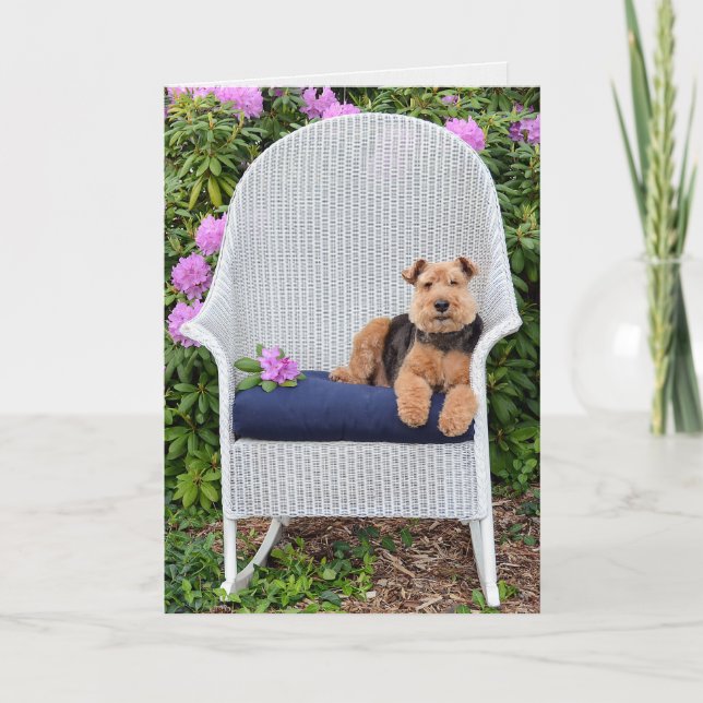 Welsh Terrier in garden Card (Front)