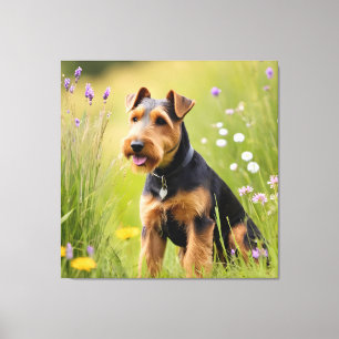 Welsh Terrier In Wildflower Meadow Canvas Print