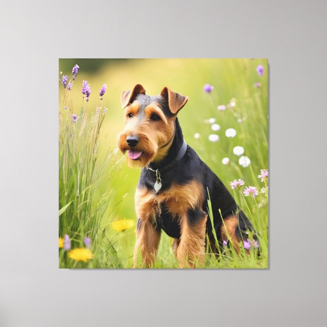 Welsh Terrier In Wildflower Meadow Canvas Print (Front)