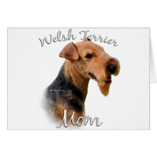 Welsh Terrier Mom 2