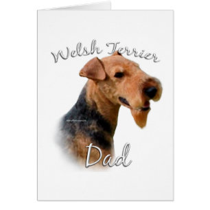 Welsh Terrier Papa 2