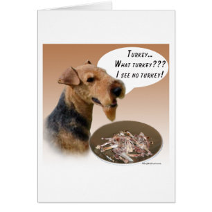 Welsh Terrier Turkey