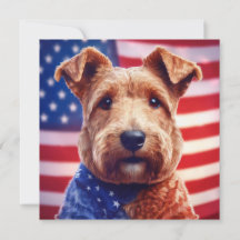 Welsh Terrier With American Flag And Bandana