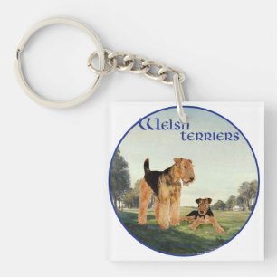 Welsh Terriers