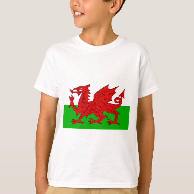 Welsh / Wales Flag - Cymru High Quality Image T-Shirt (Front)