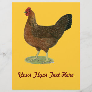 Welsummer Hen Flyer