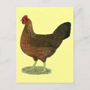 Welsummer Hen Postcard