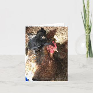 Welsummer Hen with Maran Chicks Card