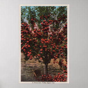 Wenatchee, WAA Wenatchee Valley Apple Tree Poster