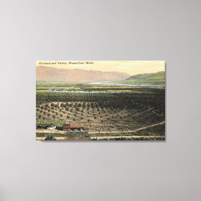 Wenatchee, WashingtonAerial View of an Orchard Canvas Print (Front)