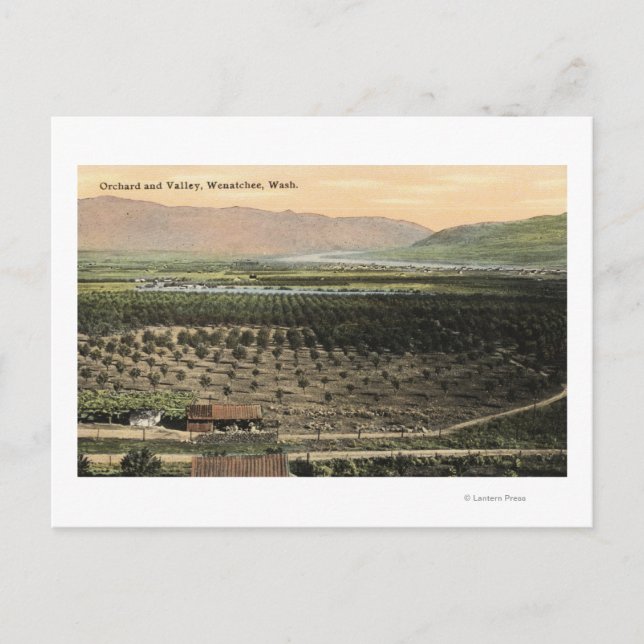 Wenatchee, WashingtonAerial View of an Orchard Postcard (Front)
