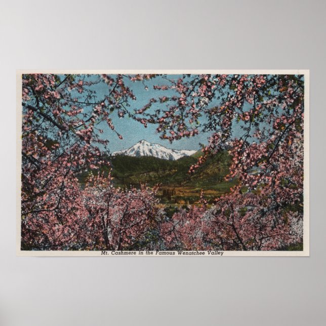 Wenatchee, WAView of Mt. Cashmere with Trees Poster (Front)