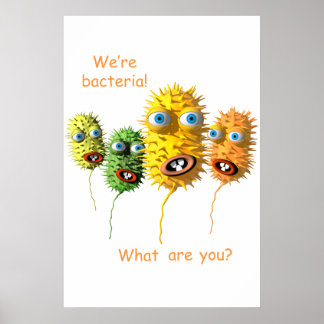 We're Bacteria Poster