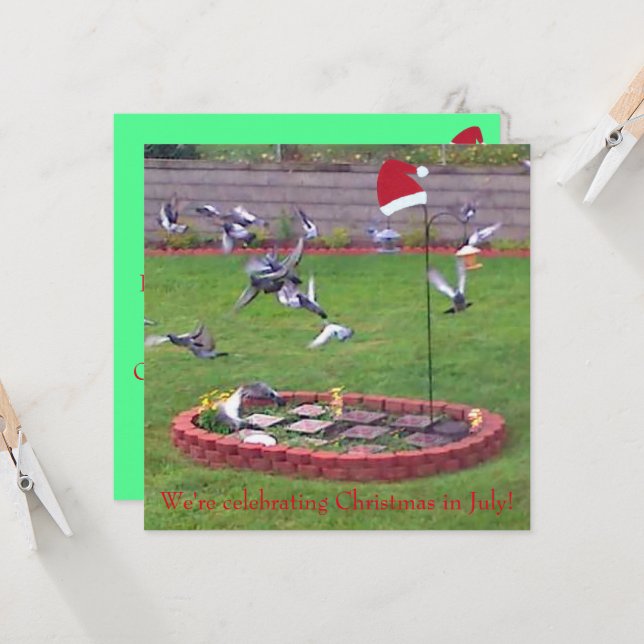 We're celebrating Christmas in July, birds invites (Front/Back In Situ)