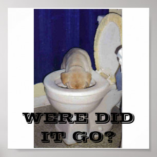 WERE DID IT GO ? POSTER
