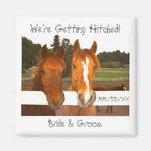 We're Getting Hitched! - Save-the-Date magnet