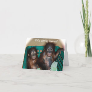 We're Getting Married Sweet and Whimsical Announcement