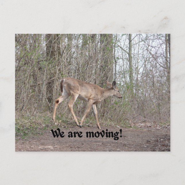 We're moving announcement postcard (Front)