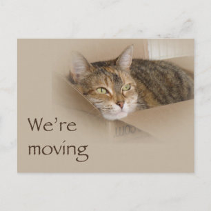 We're Moving Nofitication - Lily Announcement Postcard