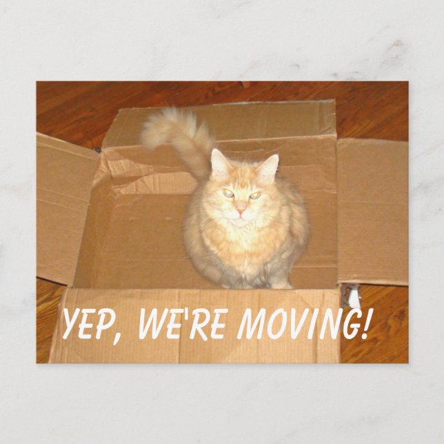 We're Moving Post Card (Front)