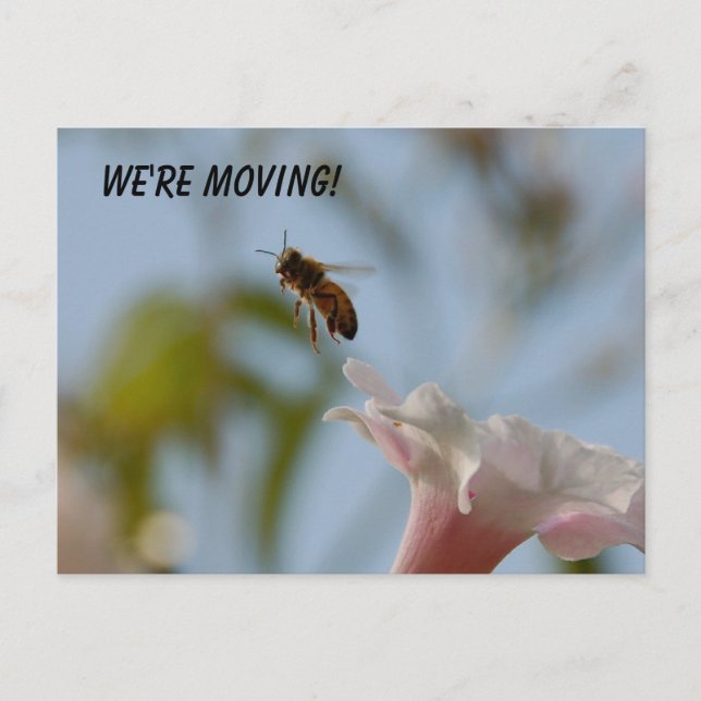 We're Moving Postcard (Front)