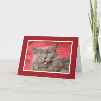 We're Purrfect for Eachother - Customized Holiday Card