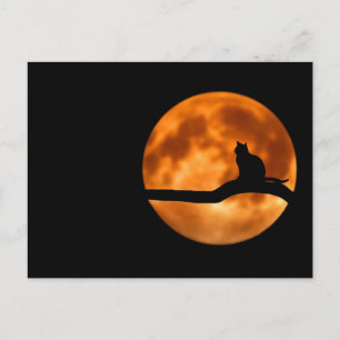Werecat full moon postcard